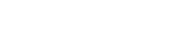 Summit For Wellness